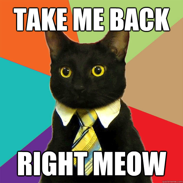 tAKE ME BACK RIGHT MEOW  Business Cat