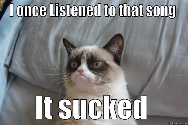 Yeah yeah - I ONCE LISTENED TO THAT SONG IT SUCKED Grumpy Cat