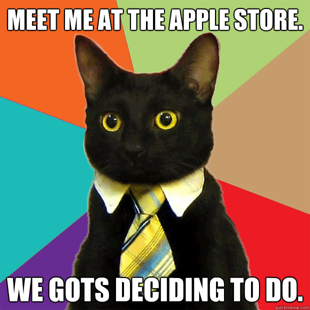 Meet me at the apple store. We gots deciding to do.  Business Cat