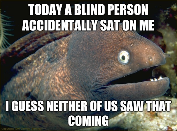 Today a blind person accidentally sat on me I guess neither of us saw that coming  Bad Joke Eel