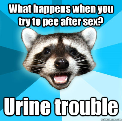 What happens when you try to pee after sex? Urine trouble  Lame Pun Coon