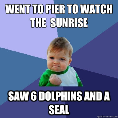 went to pier to watch the  sunrise saw 6 dolphins and a seal - went to pier to watch the  sunrise saw 6 dolphins and a seal  Success Kid