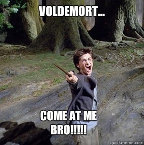Voldemort... Come at me bro!!!!!  Harry potter