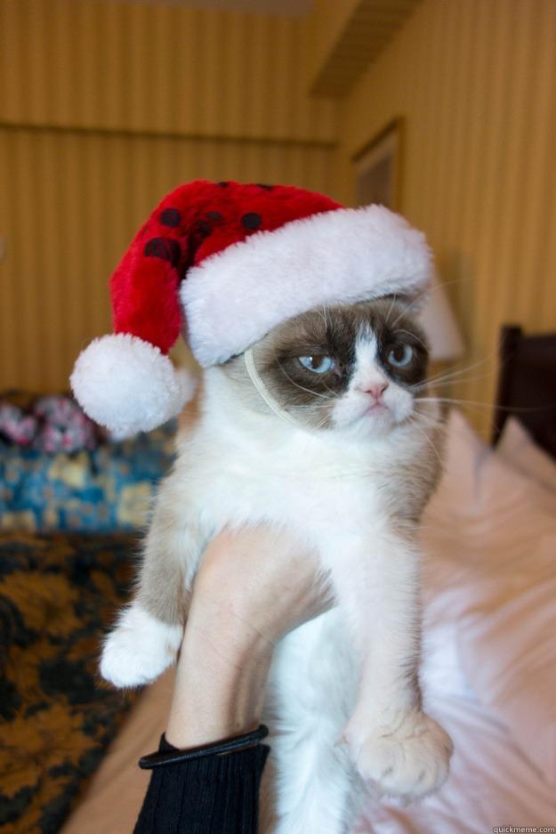   Grumpy xmas