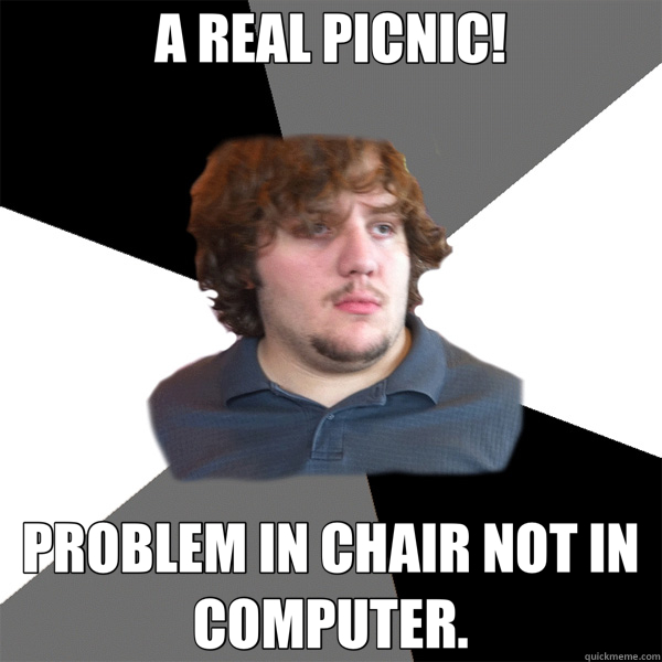 A REAL PICNIC! PROBLEM IN CHAIR NOT IN COMPUTER.  Family Tech Support Guy