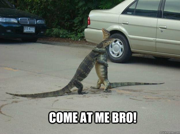 Come at me bro! - Come at me bro!  Come at me bro!