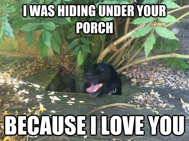 I was hiding under your porch because I love you - I was hiding under your porch because I love you  Misc