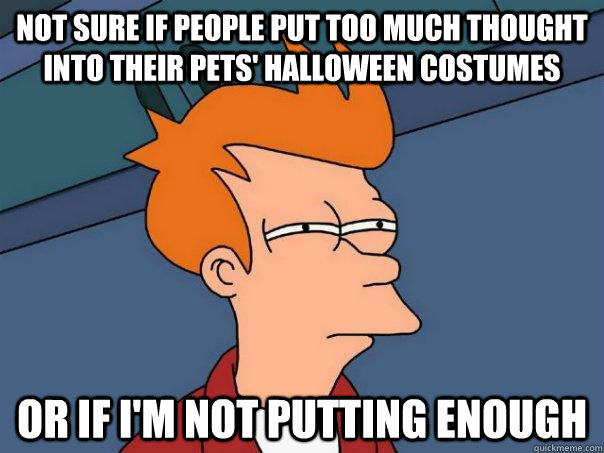 Not sure if people put too much thought into their pets' halloween costumes or if i'm not putting enough - Not sure if people put too much thought into their pets' halloween costumes or if i'm not putting enough  Futurama Fry