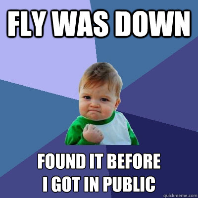 fly was down found it before
i got in public  Success Kid