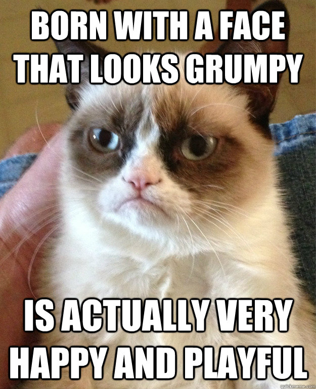 born with a face that looks grumpy  is actually very happy and playful  Grumpy Cat