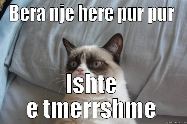 BERA NJE HERE PUR PUR ISHTE E TMERRSHME Grumpy Cat