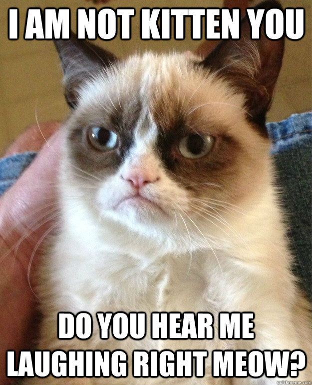 I am not kitten you Do you hear me laughing right meow?   Grumpy Cat