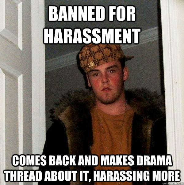 banned for harassment comes back and makes drama thread about it, harassing more  Scumbag Steve