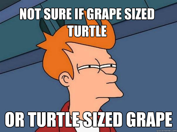 Not sure if grape sized turtle or turtle sized grape - Not sure if grape sized turtle or turtle sized grape  Futurama Fry