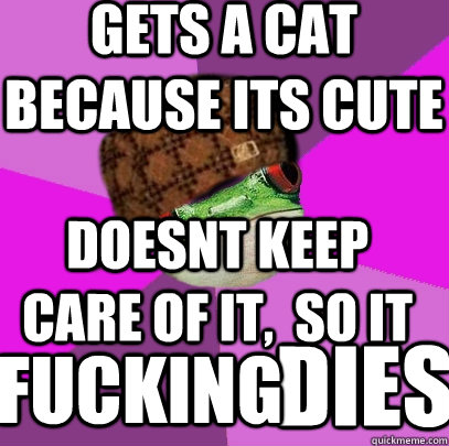 gets a cat because its cute doesnt keep care of it,  so it  fucking dies - gets a cat because its cute doesnt keep care of it,  so it  fucking dies  Scumbag Foul Bachelorette Frog