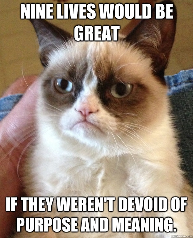 Nine lives would be great If they weren't devoid of purpose and meaning.  Grumpy Cat