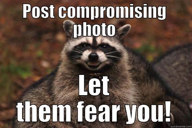 At it's finest - POST COMPROMISING PHOTO LET THEM FEAR YOU! Evil Plotting Raccoon