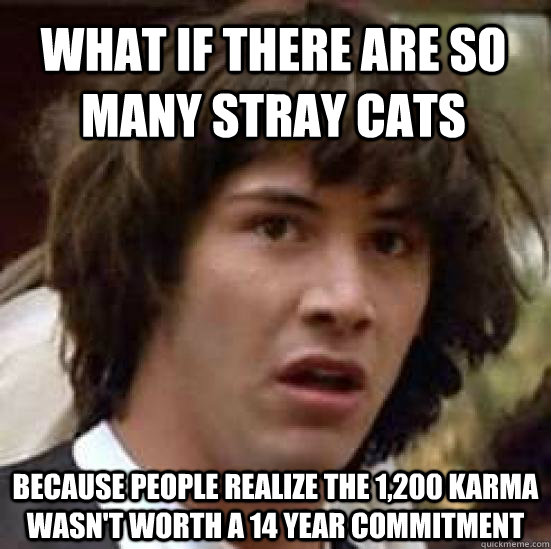 What if there are so many stray cats because people realize the 1,200 karma wasn't worth a 14 year commitment - What if there are so many stray cats because people realize the 1,200 karma wasn't worth a 14 year commitment  conspiracy keanu