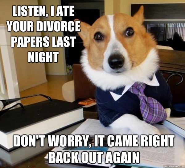 Listen, I ate your divorce papers last night Don't worry, it came right back out again  Lawyer Dog