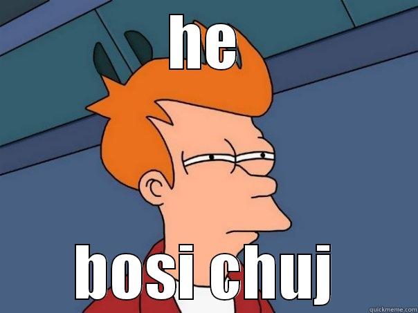 HE BOSI CHUJ Futurama Fry