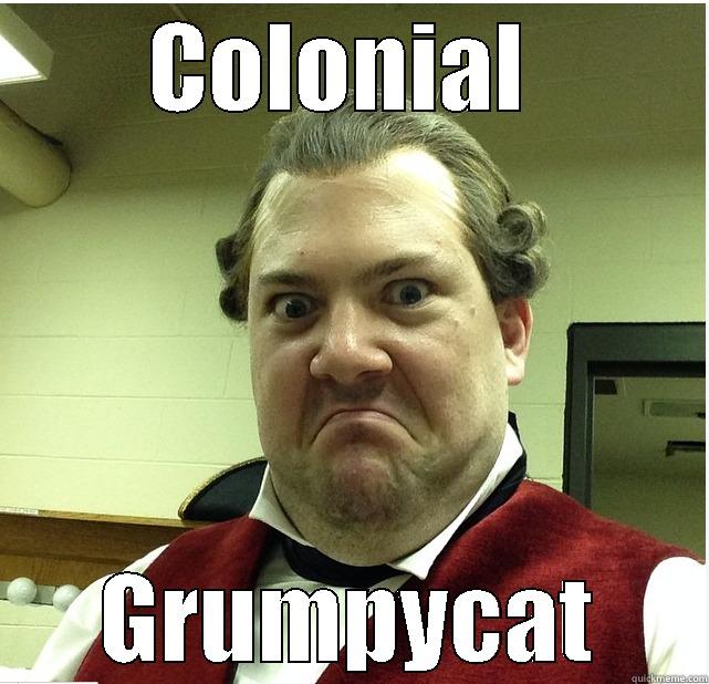 Who pooped - COLONIAL  GRUMPYCAT Misc