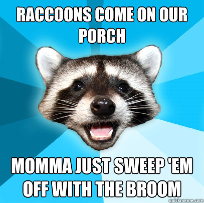 Raccoons come on our porch Momma just sweep 'em off with the broom  Lame Pun Coon