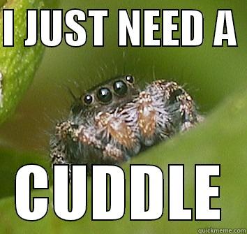 i just need a cuddle - I JUST NEED A  CUDDLE Misunderstood Spider