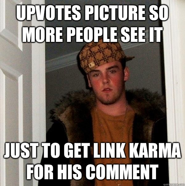 Upvotes picture so more people see it Just to get link karma for his comment  Scumbag Steve