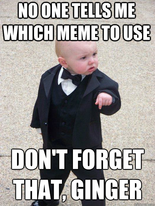 no one tells me which meme to use Don't forget that, ginger  Baby Godfather