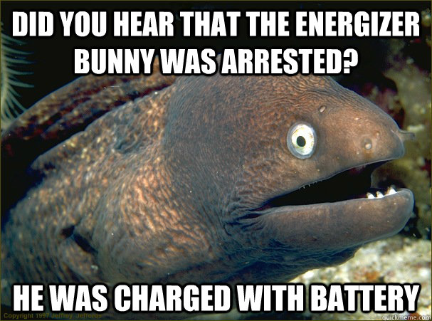 Did you hear that the energizer bunny was arrested? He was charged with battery  Bad Joke Eel