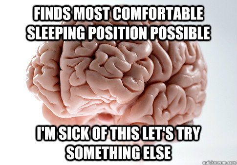 Finds most comfortable sleeping position possible I'm sick of this let's try something else  Scumbag Brain