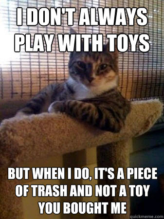 I don't always play with toys but when I do, It's a piece of trash and not a toy you bought me  The Most Interesting Cat in the World