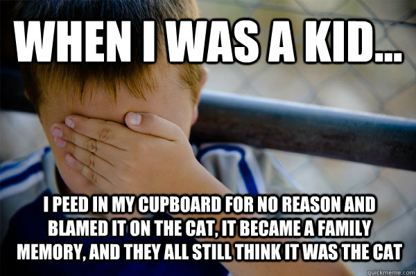 WHEN I WAS A KID... I peed in my cupboard for no reason and blamed it on the cat, It became a family memory, and they all still think it was the cat  Confession kid