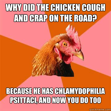 Why did the chicken cough and crap on the road? because he has chlamydophilia psittaci, and now you do too  Anti-Joke Chicken