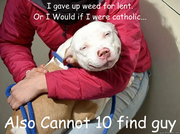 I gave up weed for lent.
Or I Would if I were catholic...

 Also Cannot 10 find guy  10 Dog