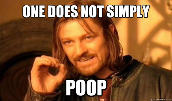 One Does Not Simply Poop  Boromir