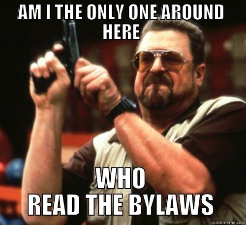 AM I THE ONLY ONE AROUND HERE WHO READ THE BYLAWS Am I The Only One Around Here