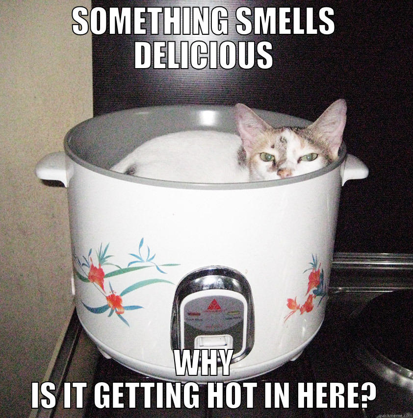 SOMETHING SMELLS DELICIOUS WHY IS IT GETTING HOT IN HERE? Misc