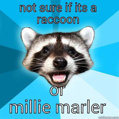 NOT SURE IF ITS A RACCOON OR MILLIE MARLER Lame Pun Coon