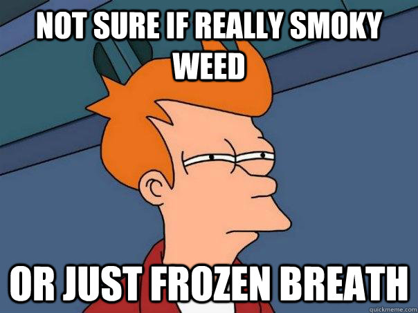 Not sure if really smoky weed Or just frozen breath  Futurama Fry