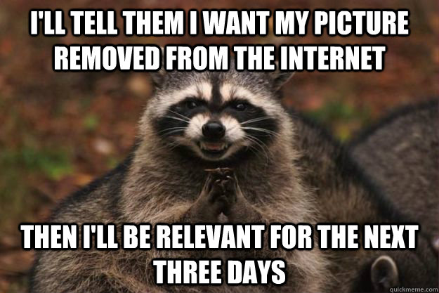 i'll tell them i want my picture removed from the internet then i'll be relevant for the next three days - i'll tell them i want my picture removed from the internet then i'll be relevant for the next three days  Evil Plotting Raccoon