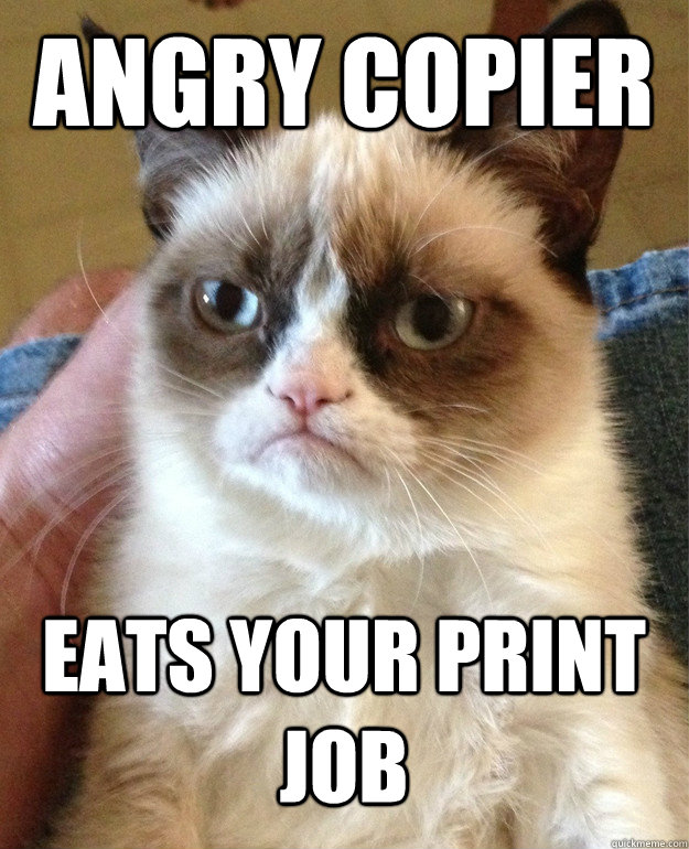 ANGRY COPIER EATS YOUR PRINT JOB  Grumpy Cat