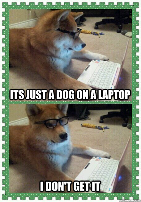 Its just a dog on a laptop I don't get it  hello