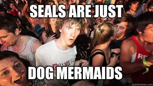 Seals are just Dog mermaids  Sudden Clarity Clarence