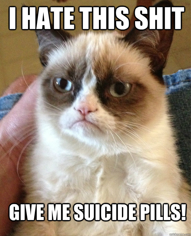 I HATE THIS SHIT GIVE ME SUICIDE PILLS!  Grumpy Cat