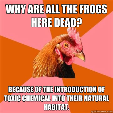 Why are all the frogs here dead? Because of the introduction of toxic chemical into their natural habitat.   Anti-Joke Chicken