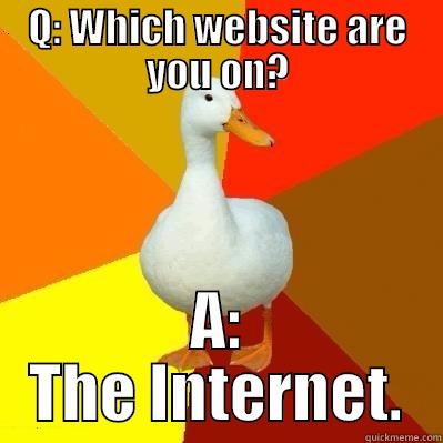 Tech Support Nightmare - Q: WHICH WEBSITE ARE YOU ON? A: THE INTERNET. Tech Impaired Duck