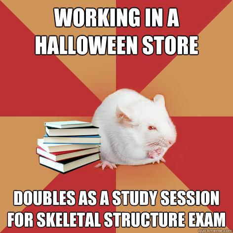 Working in a Halloween store  doubles as a study session for skeletal structure exam  Science Major Mouse