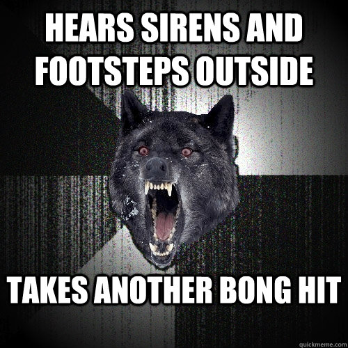 hears sirens and footsteps outside takes another bong hit  Insanity Wolf