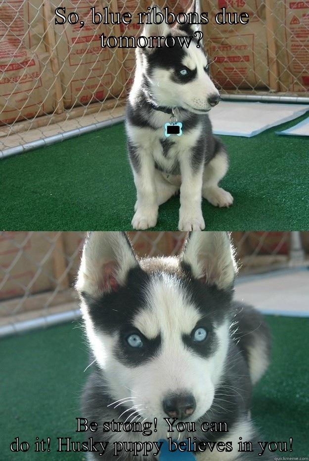 SO, BLUE RIBBONS DUE TOMORROW? BE STRONG! YOU CAN DO IT! HUSKY PUPPY BELIEVES IN YOU! Insanity puppy